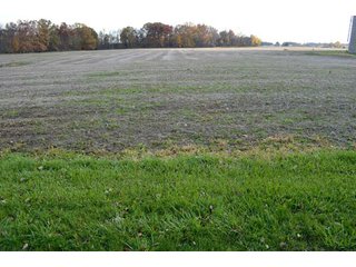 Property photo 82 - 127 Acres Offered in 8 Tracts - Allen & Dekalb County Land